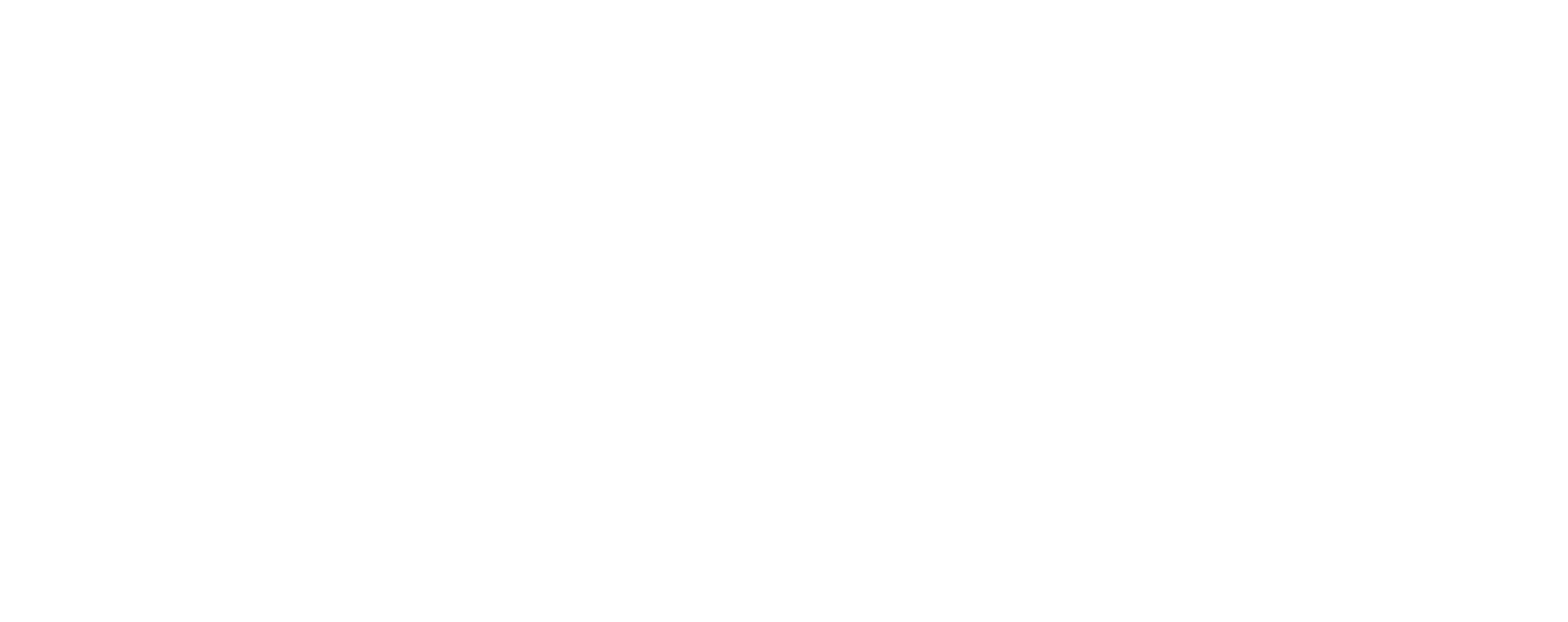 LOGO UPV BIS